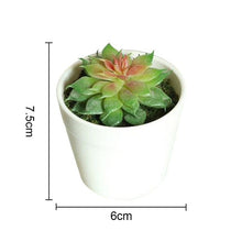 Load image into Gallery viewer, Artificial Plants Bonsai Vivid Cactus Succulent Pot Plants Fake Flowers Potted Ornaments For Home Decoration Hotel Garden Decor