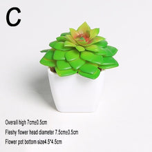 Load image into Gallery viewer, Mini Vivid Cactus Succulent Home Garden Decoration Artificial Bonsai Plant with Vase for Office Table Decor Indoor Fake Plants