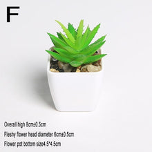 Load image into Gallery viewer, Mini Vivid Cactus Succulent Home Garden Decoration Artificial Bonsai Plant with Vase for Office Table Decor Indoor Fake Plants