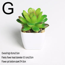 Load image into Gallery viewer, Mini Vivid Cactus Succulent Home Garden Decoration Artificial Bonsai Plant with Vase for Office Table Decor Indoor Fake Plants