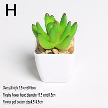 Load image into Gallery viewer, Mini Vivid Cactus Succulent Home Garden Decoration Artificial Bonsai Plant with Vase for Office Table Decor Indoor Fake Plants