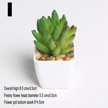 Load image into Gallery viewer, Mini Vivid Cactus Succulent Home Garden Decoration Artificial Bonsai Plant with Vase for Office Table Decor Indoor Fake Plants
