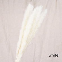 Load image into Gallery viewer, 7PCs Bulrush Natural Dried Flowers Small Pampas Grass Phragmites DIY Artificial Flowers Plants For Decor Home Wedding Decoration