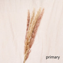 Load image into Gallery viewer, 7PCs Bulrush Natural Dried Flowers Small Pampas Grass Phragmites DIY Artificial Flowers Plants For Decor Home Wedding Decoration
