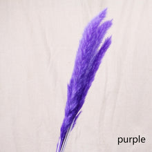 Load image into Gallery viewer, 7PCs Bulrush Natural Dried Flowers Small Pampas Grass Phragmites DIY Artificial Flowers Plants For Decor Home Wedding Decoration