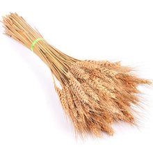 Load image into Gallery viewer, Bulrush Natural Dried Small Pampas Grass Phragmites Artificial Plants Wedding Flower Bunch for Home Decor Fake Flowers