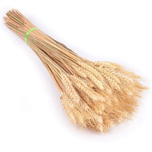 Load image into Gallery viewer, Bulrush Natural Dried Small Pampas Grass Phragmites Artificial Plants Wedding Flower Bunch for Home Decor Fake Flowers
