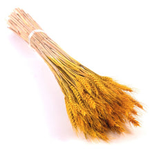 Load image into Gallery viewer, Bulrush Natural Dried Small Pampas Grass Phragmites Artificial Plants Wedding Flower Bunch for Home Decor Fake Flowers