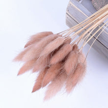 Load image into Gallery viewer, Bulrush Natural Dried Small Pampas Grass Phragmites Artificial Plants Wedding Flower Bunch for Home Decor Fake Flowers