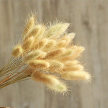Load image into Gallery viewer, Bulrush Natural Dried Small Pampas Grass Phragmites Artificial Plants Wedding Flower Bunch for Home Decor Fake Flowers