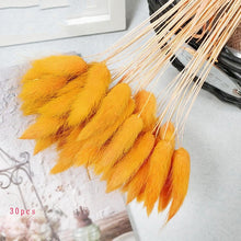 Load image into Gallery viewer, 7PCs Bulrush Natural Dried Flowers Small Pampas Grass Phragmites DIY Artificial Flowers Plants For Decor Home Wedding Decoration