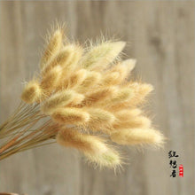 Load image into Gallery viewer, 7PCs Bulrush Natural Dried Flowers Small Pampas Grass Phragmites DIY Artificial Flowers Plants For Decor Home Wedding Decoration