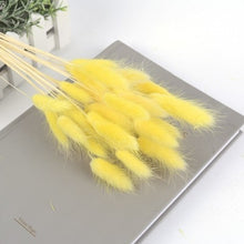 Load image into Gallery viewer, 7PCs Bulrush Natural Dried Flowers Small Pampas Grass Phragmites DIY Artificial Flowers Plants For Decor Home Wedding Decoration