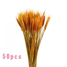 Load image into Gallery viewer, 7PCs Bulrush Natural Dried Flowers Small Pampas Grass Phragmites DIY Artificial Flowers Plants For Decor Home Wedding Decoration