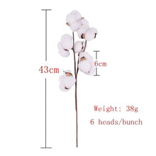 Load image into Gallery viewer, 7PCs Bulrush Natural Dried Flowers Small Pampas Grass Phragmites DIY Artificial Flowers Plants For Decor Home Wedding Decoration