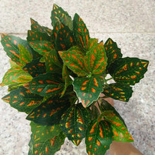 Load image into Gallery viewer, Artificial flower Plant Lawn DIY Background Wall Simulation Grass Leaf Home Decoration Green Wholesale Carpet Turf Office Decor