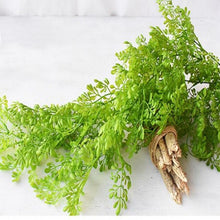 Load image into Gallery viewer, 80cm Soft Plastic Wall Hang Artificial Plant 9 Fork Branch Moss Leaf Vine Garland Fake Plants Wedding Home Decor Green