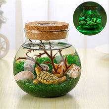 Load image into Gallery viewer, LED Night Lamp Romantic Sea Fish Stone Ocean Bottle Night Lights For Children Christmas Valentine's Day Gift Bedroom Decoration