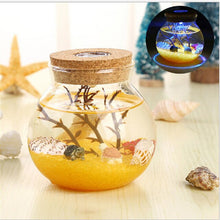 Load image into Gallery viewer, LED Night Lamp Romantic Sea Fish Stone Ocean Bottle Night Lights For Children Christmas Valentine's Day Gift Bedroom Decoration