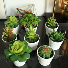 Load image into Gallery viewer, Artificial Plants Bonsai Vivid Cactus Succulent Pot Plants Fake Flowers Potted Ornaments For Home Decoration Hotel Garden Decor
