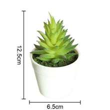 Load image into Gallery viewer, Artificial Plants Bonsai Vivid Cactus Succulent Pot Plants Fake Flowers Potted Ornaments For Home Decoration Hotel Garden Decor
