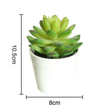 Load image into Gallery viewer, Artificial Plants Bonsai Vivid Cactus Succulent Pot Plants Fake Flowers Potted Ornaments For Home Decoration Hotel Garden Decor
