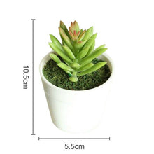 Load image into Gallery viewer, Artificial Plants Bonsai Vivid Cactus Succulent Pot Plants Fake Flowers Potted Ornaments For Home Decoration Hotel Garden Decor
