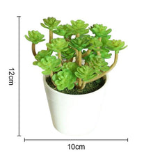 Load image into Gallery viewer, Artificial Plants Bonsai Vivid Cactus Succulent Pot Plants Fake Flowers Potted Ornaments For Home Decoration Hotel Garden Decor
