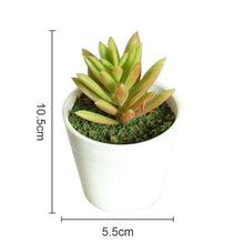 Load image into Gallery viewer, Artificial Plants Bonsai Vivid Cactus Succulent Pot Plants Fake Flowers Potted Ornaments For Home Decoration Hotel Garden Decor
