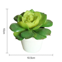 Load image into Gallery viewer, Artificial Plants Bonsai Vivid Cactus Succulent Pot Plants Fake Flowers Potted Ornaments For Home Decoration Hotel Garden Decor
