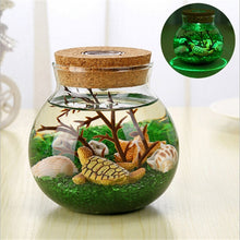 Load image into Gallery viewer, Novelty RGB LED Night Lamp Romantic Sea Fish Stone Ocean Bottle Night Lights For Children Baby Christmas Gift Bedroom Decoration
