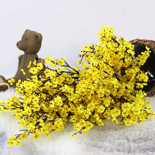 Load image into Gallery viewer, Cherry Blossoms Artificial Flowers Baby's Breath Gypsophila Fake Flowers DIY Wedding Decoration Home Bouquet Faux Flowers Branch
