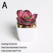 Load image into Gallery viewer, Mini Vivid Cactus Succulent Home Garden Decoration Artificial Bonsai Plant with Vase for Office Table Decor Indoor Fake Plants
