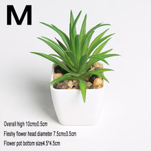 Load image into Gallery viewer, Mini Vivid Cactus Succulent Home Garden Decoration Artificial Bonsai Plant with Vase for Office Table Decor Indoor Fake Plants
