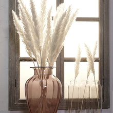 Load image into Gallery viewer, 7PCs Bulrush Natural Dried Flowers Small Pampas Grass Phragmites DIY Artificial Flowers Plants For Decor Home Wedding Decoration
