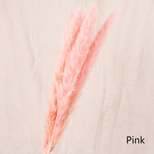 Load image into Gallery viewer, 7PCs Bulrush Natural Dried Flowers Small Pampas Grass Phragmites DIY Artificial Flowers Plants For Decor Home Wedding Decoration
