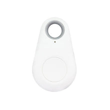 Load image into Gallery viewer, Pets GPS Tracking Activity Monitor Mini Smart GPS Anti-Lost Waterproof Trace PR Sale
