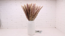 Load image into Gallery viewer, 30Pcs Bulrush Natural Dried Small Pampas Grass Phragmites Home Christmas decoration diy dried flower bouquet Flower arrangement
