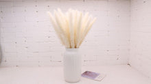 Load image into Gallery viewer, 30Pcs Bulrush Natural Dried Small Pampas Grass Phragmites Home Christmas decoration diy dried flower bouquet Flower arrangement
