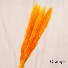 Load image into Gallery viewer, Bulrush Natural Dried Small Pampas Grass Phragmites Artificial Plants Wedding Flower Bunch for Home Decor Fake Flowers
