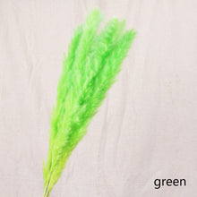 Load image into Gallery viewer, Bulrush Natural Dried Small Pampas Grass Phragmites Artificial Plants Wedding Flower Bunch for Home Decor Fake Flowers
