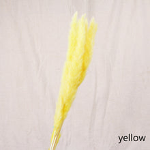 Load image into Gallery viewer, Bulrush Natural Dried Small Pampas Grass Phragmites Artificial Plants Wedding Flower Bunch for Home Decor Fake Flowers
