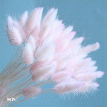 Load image into Gallery viewer, Bulrush Natural Dried Small Pampas Grass Phragmites Artificial Plants Wedding Flower Bunch for Home Decor Fake Flowers
