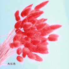 Load image into Gallery viewer, Bulrush Natural Dried Small Pampas Grass Phragmites Artificial Plants Wedding Flower Bunch for Home Decor Fake Flowers
