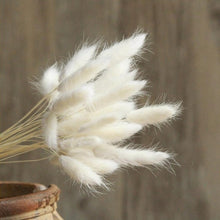 Load image into Gallery viewer, Bulrush Natural Dried Small Pampas Grass Phragmites Artificial Plants Wedding Flower Bunch for Home Decor Fake Flowers
