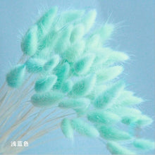 Load image into Gallery viewer, Bulrush Natural Dried Small Pampas Grass Phragmites Artificial Plants Wedding Flower Bunch for Home Decor Fake Flowers
