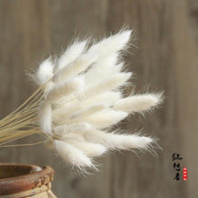 Load image into Gallery viewer, 7PCs Bulrush Natural Dried Flowers Small Pampas Grass Phragmites DIY Artificial Flowers Plants For Decor Home Wedding Decoration
