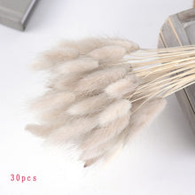 Load image into Gallery viewer, 7PCs Bulrush Natural Dried Flowers Small Pampas Grass Phragmites DIY Artificial Flowers Plants For Decor Home Wedding Decoration
