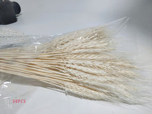 Load image into Gallery viewer, 7PCs Bulrush Natural Dried Flowers Small Pampas Grass Phragmites DIY Artificial Flowers Plants For Decor Home Wedding Decoration
