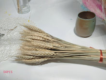 Load image into Gallery viewer, 7PCs Bulrush Natural Dried Flowers Small Pampas Grass Phragmites DIY Artificial Flowers Plants For Decor Home Wedding Decoration
